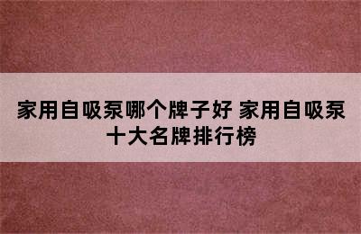 家用自吸泵哪个牌子好 家用自吸泵十大名牌排行榜